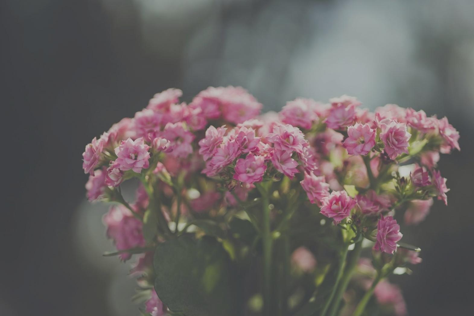 Carefully arranged flowers being prepared with personal attention