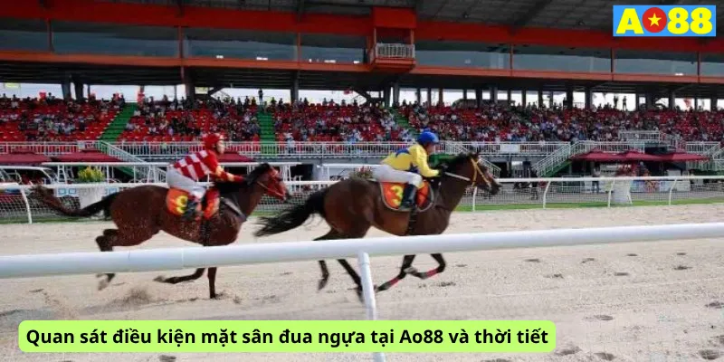 Quan sát điều kiện mặt sân đua ngựa tại Ao88 và thời tiết